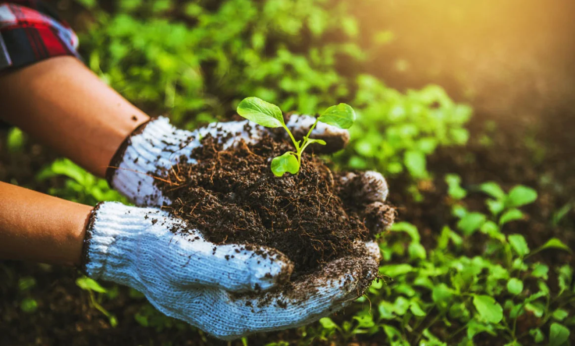 Agrochemicals & Pesticides